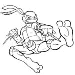 cherepashki-ninja (95)