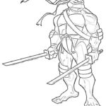 cherepashki-ninja (99)