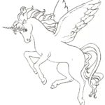 Previous Attachment