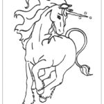 Previous Attachment