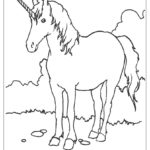 Previous Attachment