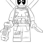 Raskrasil - LEGO (55)