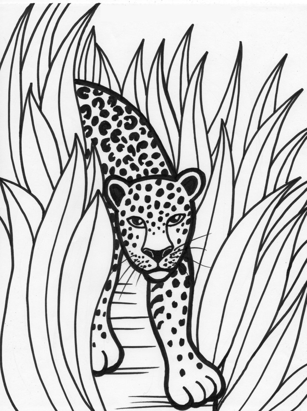 Animals Coloring Pages. Download or Print for Children, 100 images