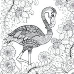 raskrasil-dlay-vzroslih-25