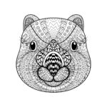 raskrasil-dlay-vzroslih-56