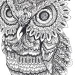 raskrasil-dlay-vzroslih-8