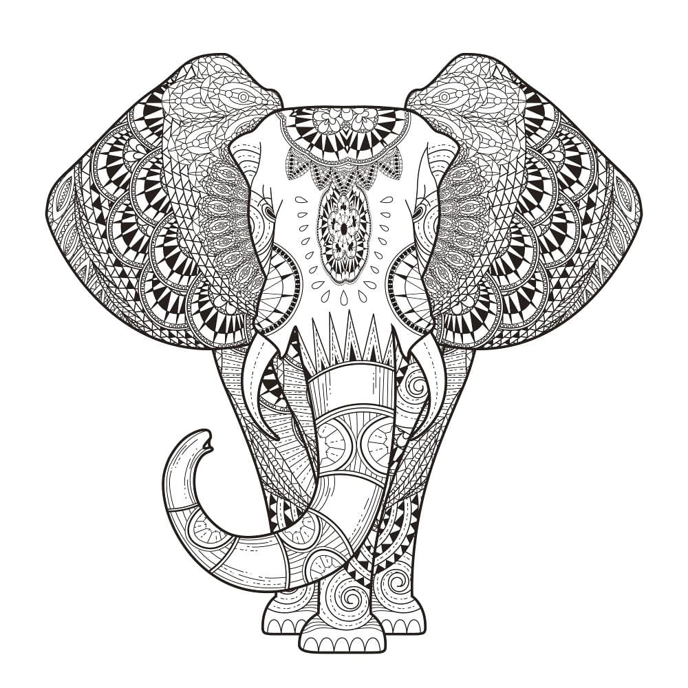 Adult Coloring Pages