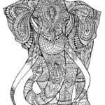 Previous Attachment