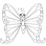 raskraska-babochki (21)