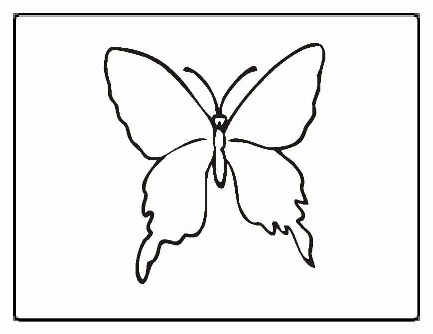 Kolorowanki Motyl | Darmowe Malowanki do wydruku