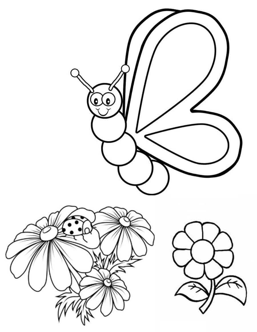 Butterfly Coloring Pages for Kids, 18 Images. Print for Free!