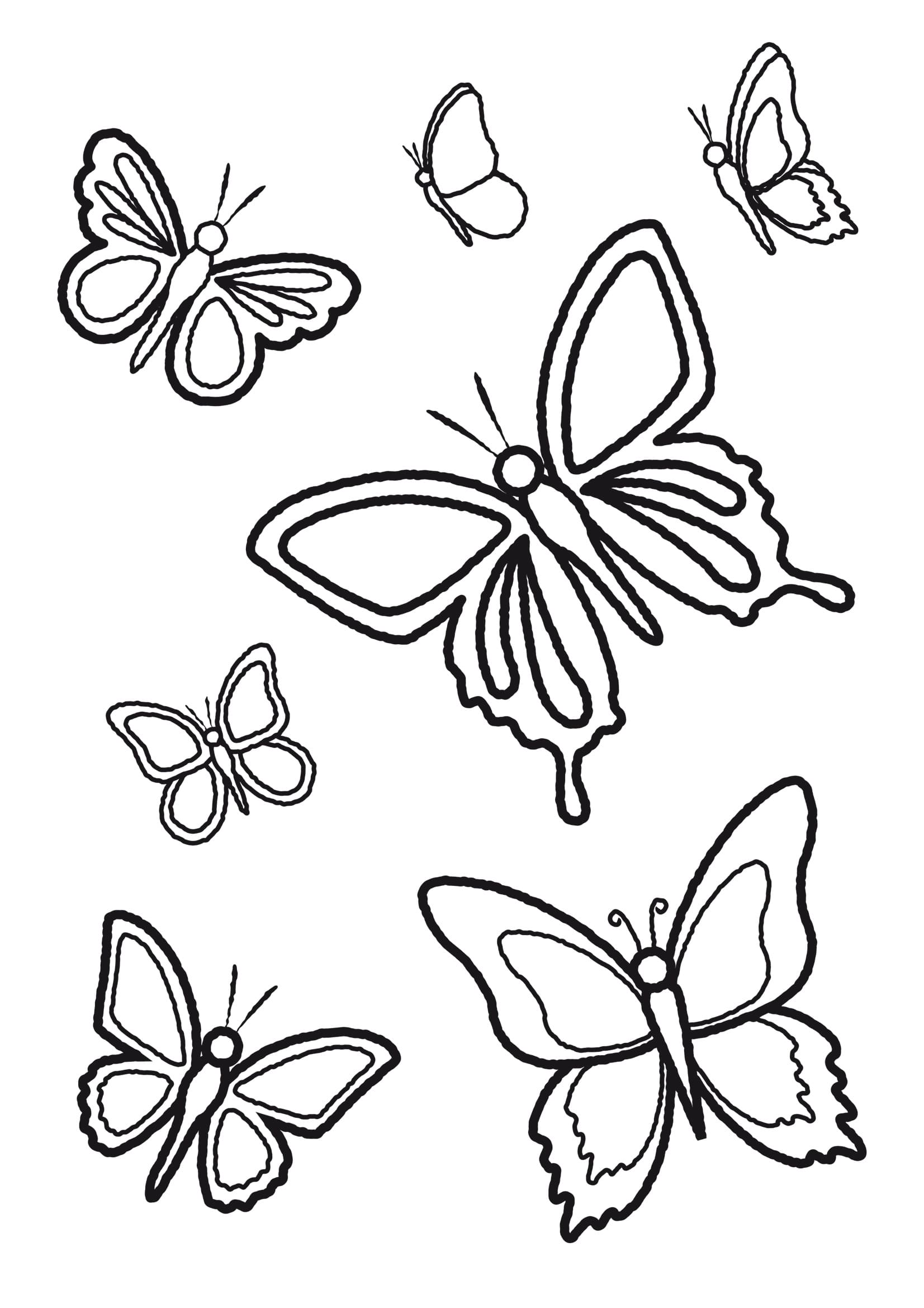 Маленькие бабочки раскраска