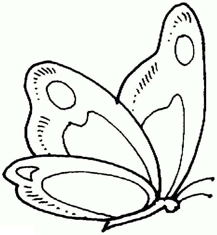 Coloriage Papillon à imprimer