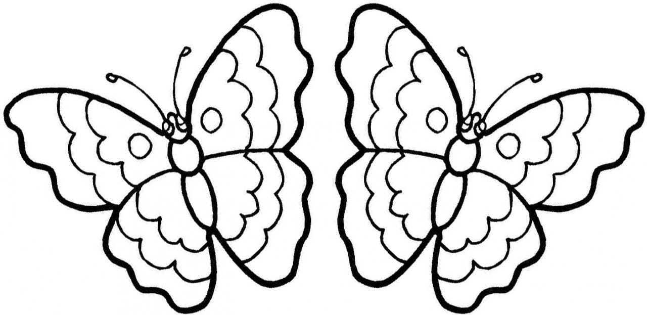 Butterfly Coloring Pages for Kids   20 Pictures Print for Free