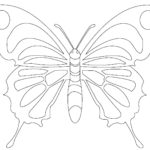 raskraska-babochki (64)