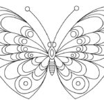 Previous Attachment