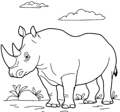 Wild Animals Coloring Pages | 70 images Free Printable