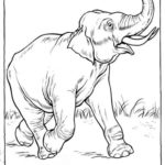Previous Attachment