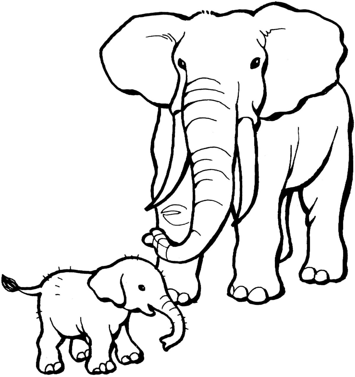 Desenhos de Animais Selvagens para colorir - 70 imagens para imprimir