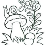 raskraska-dlya-malishey-3-4-goda (25)