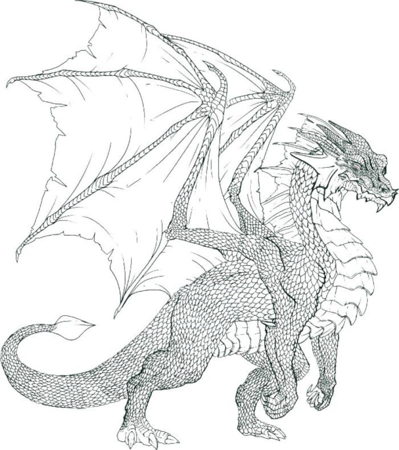 Ausmalbilder Drache | Kostenlos Malvorlagen zum Ausdrucken