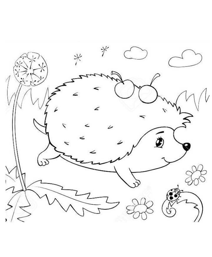 Ouriços para colorir para crianças. 100 imagens. Imprimir online!