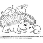 raskraska-ezhik-dlya-detey (36)