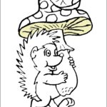 raskraska-ezhik-dlya-detey (47)