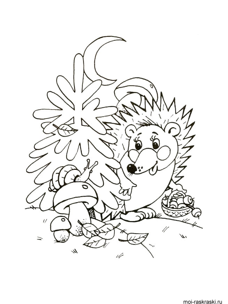 Hedgehog Coloring Pages for Children. 100 Images. Print Them Online!