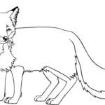 raskraska-lisa-dlya-detey (17)