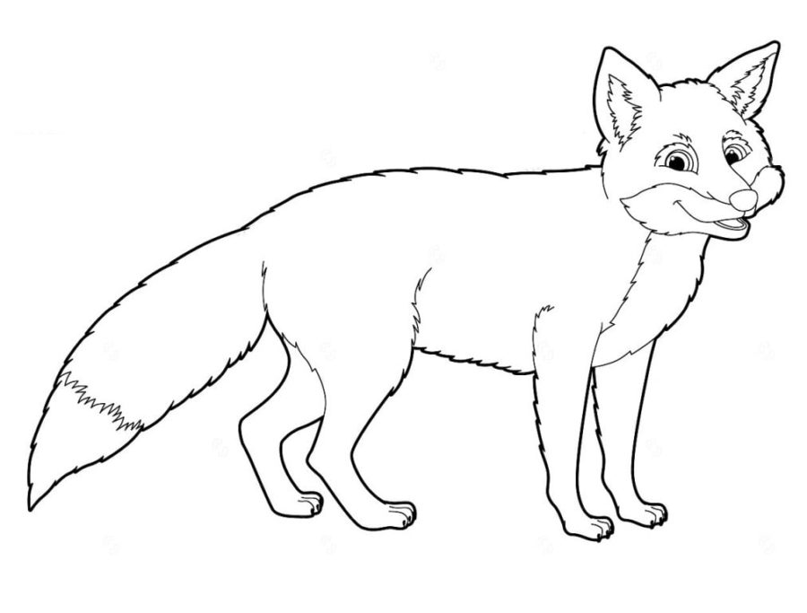 Coloriage Renard à imprimer