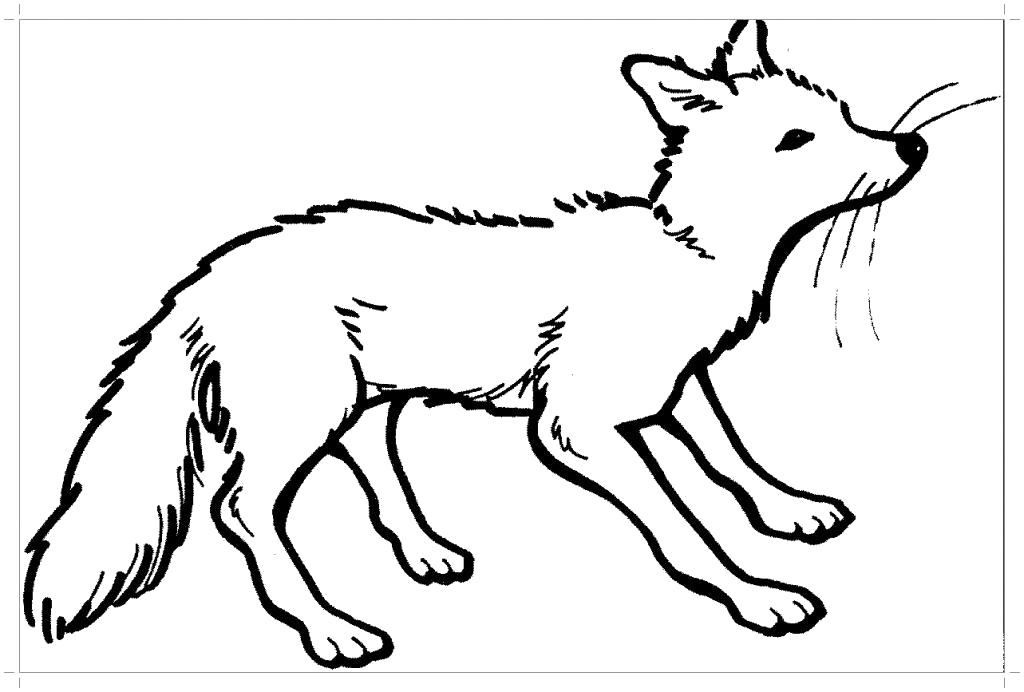 Download Fox Coloring Pages Print For Free For Girls And Boys