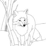 raskraska-lisa-dlya-detey (70)