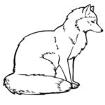 raskraska-lisa-dlya-detey (90)