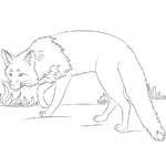 raskraska-lisa-dlya-detey (98)