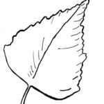 Previous Attachment