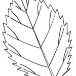 Previous Attachment