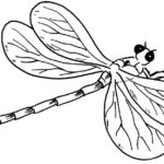 Previous Attachment