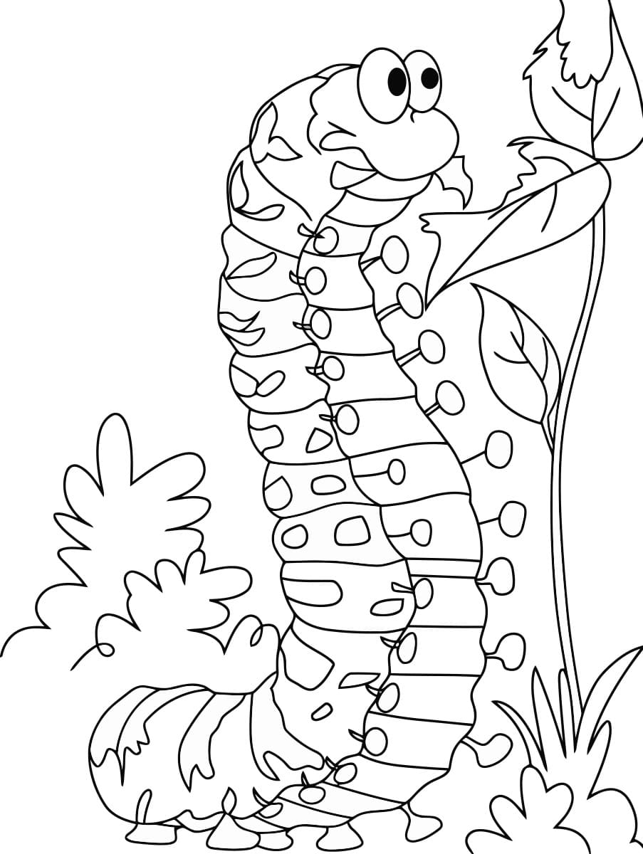 coloring pages insects