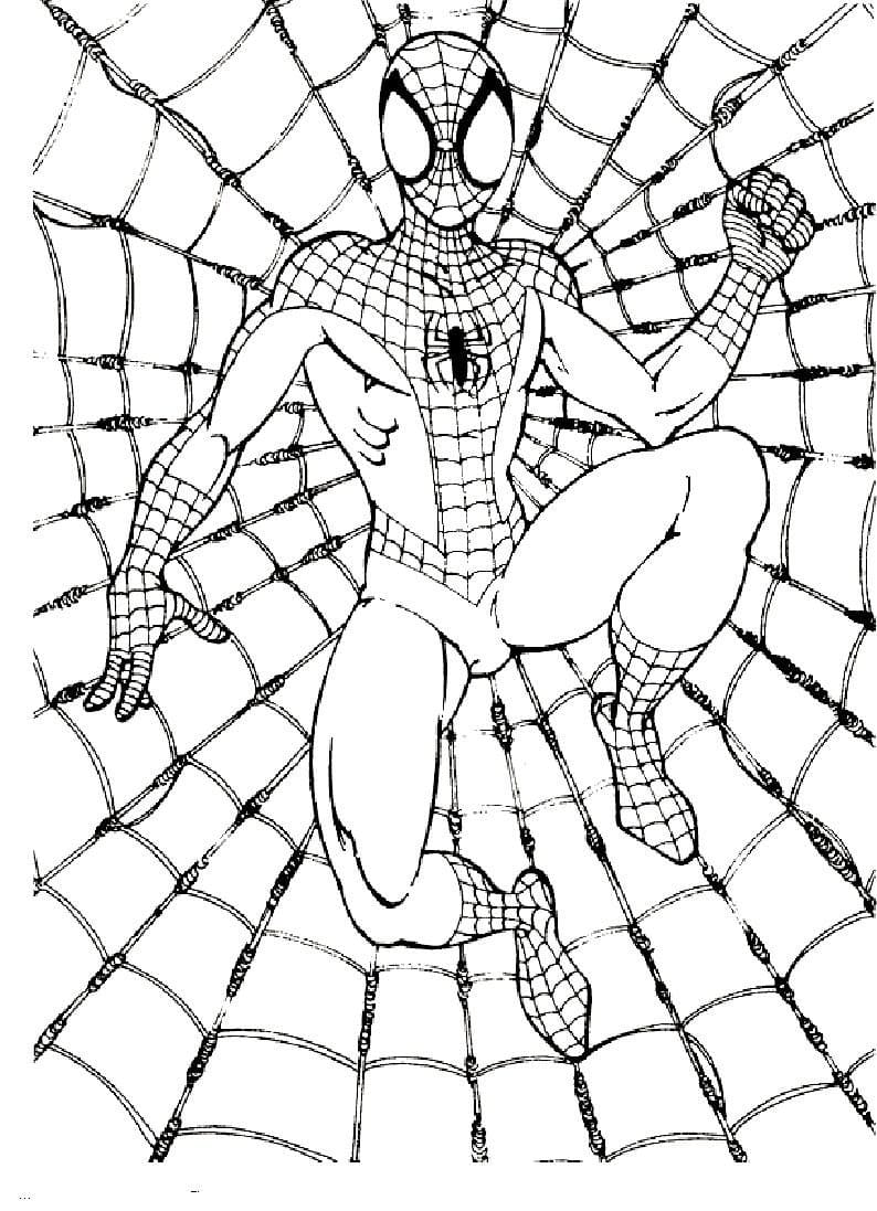 Dibujos de Spiderman para Colorear.