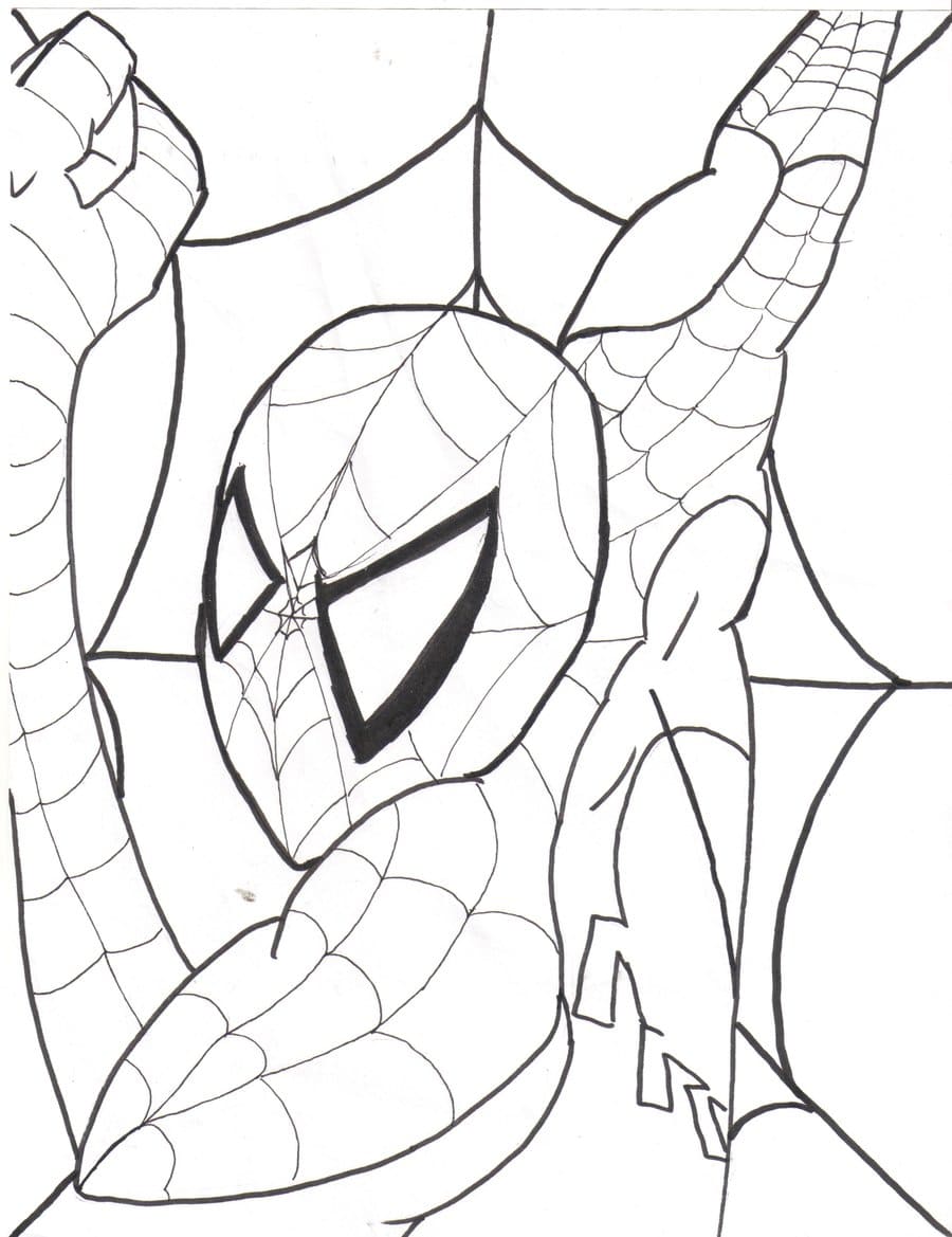Spiderman Coloring Pages   20 Pictures Free Printable