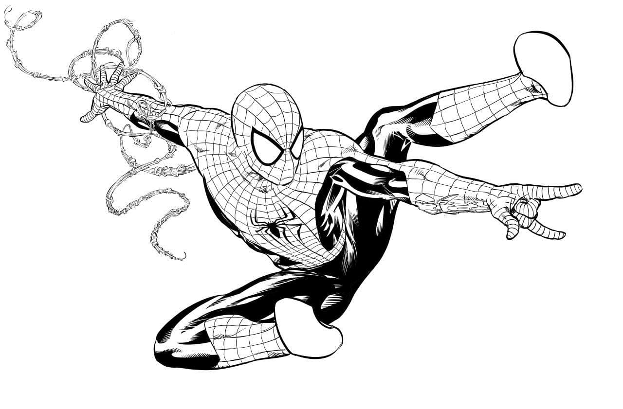 ausmalbilder spiderman drucken sie online superheld 90
