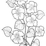 raskraska-tsvety (1)