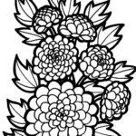 raskraska-tsvety (3)