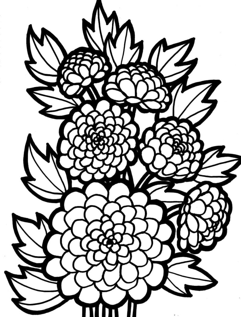 Desenhos de Flores para colorir - 80 imagens para impressão gratuita