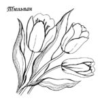 raskraska-tsvety (34)