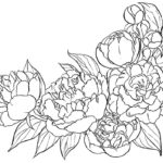 Previous Attachment