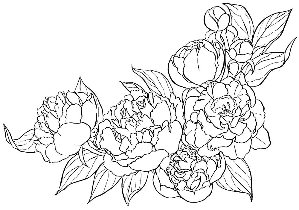 Flowers Coloring Pages | 80 Beautiful images Free Printable