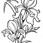 Previous Attachment