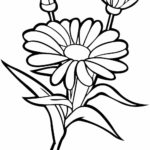 raskraska-tsvety (81)